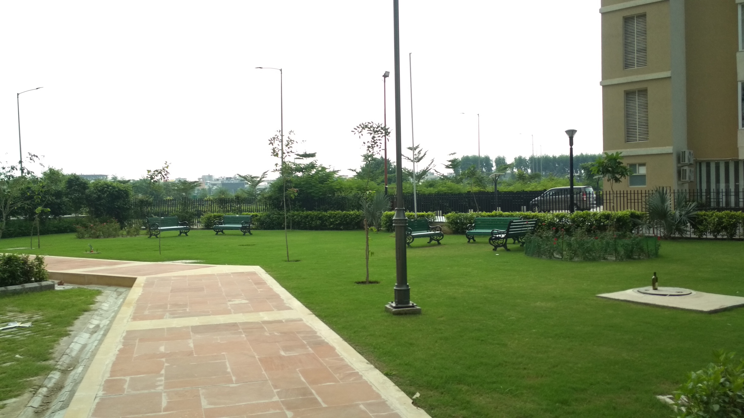 JLPL Falcon View